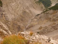 2013-09-08_6Falkenh-Steinfalk (177).JPG